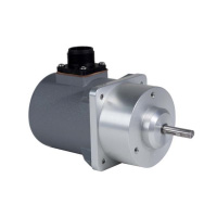 Rotary Displacement Sensor