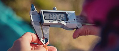 Precision Measurement